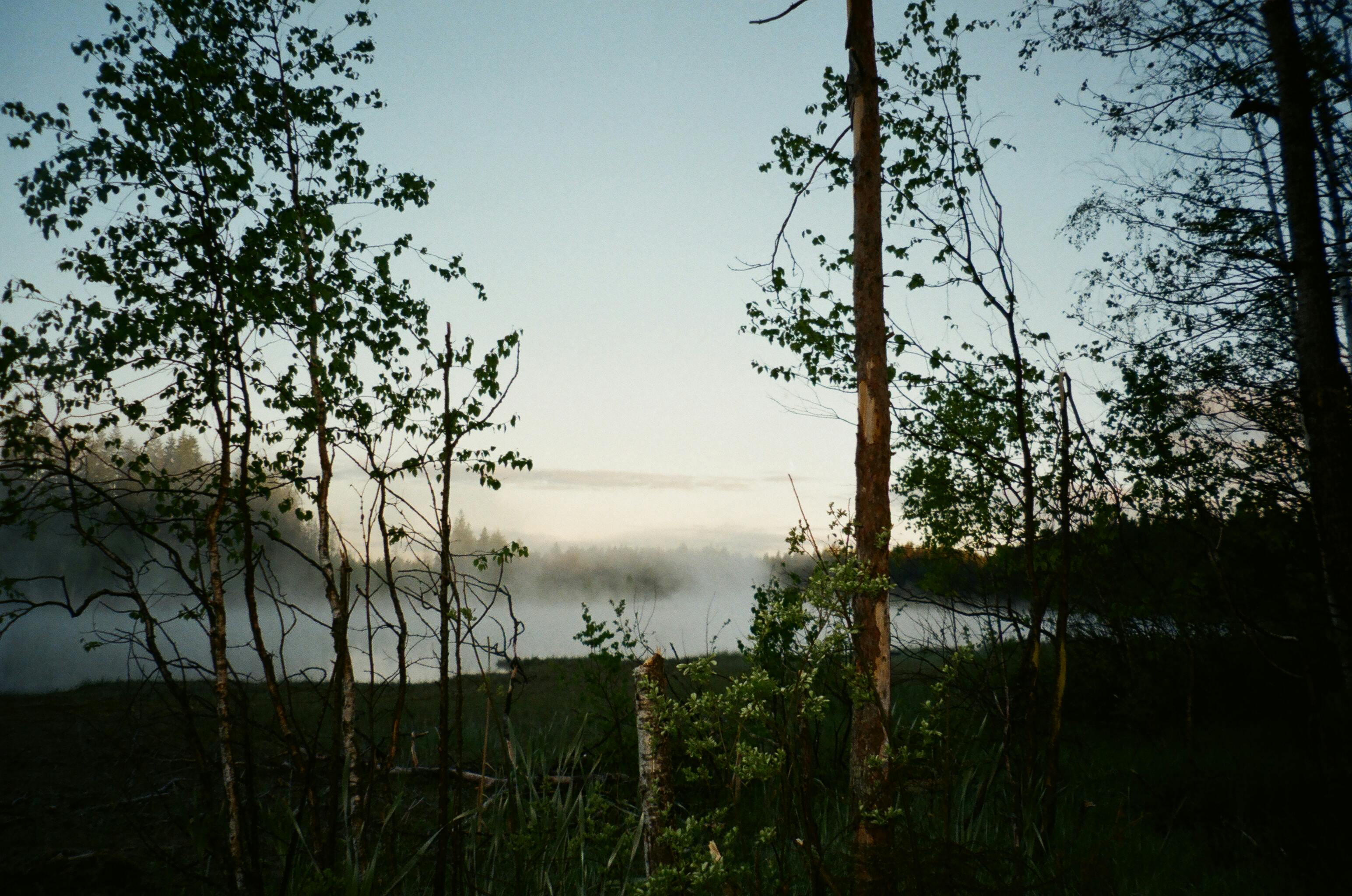 Image Alt Tag